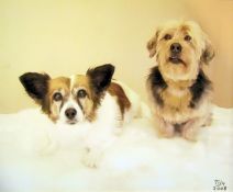 Framed print  Two female nudes, indistinctly signe