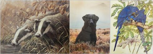 After Ian Nathan  Limited edition colour print  