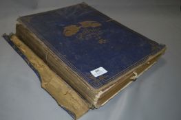 The Graphic Magazine Volume July-December 1876