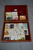 Mahogany Cased Collection of Semi-Precious Stones;