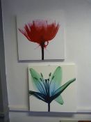 Two Prints on Canvas 