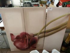 Triple Section Canvas Print 