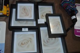 *Loui-Michel Cie Photo Frames 4pk