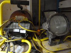 Three Halogen Flood Lamps and an Extension Cable
