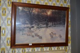 Framed Print - Sheep in Winter