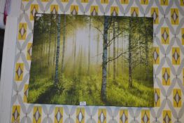 Printed Canvas - Woodland Scene