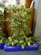 Artificial Plants in Blue Trough