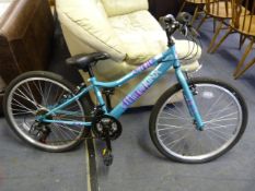 Apollo Kinx Mountain Bike (Green)