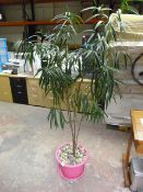 *Artificial Plant in Pot