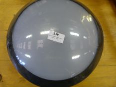 *Round LED Wall Light (Black)