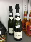 Two Bottles of Brut Montcadi Bava