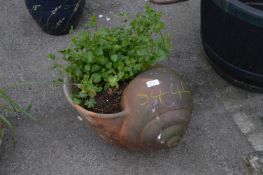 Terracotta Planter in the Form of a Snail Shell