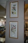 Pair of Needlework Pictures - British Wild Birds