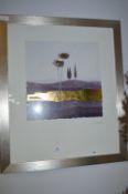 Silver Framed Print