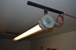 *Appleton Flameproof Light Fitting - Buyer to Remo