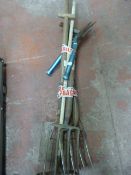 Bundle of Garden Tools