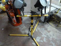 Pair of Faithful Lamps on Tripod Base