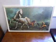 Framed Print - Wild Horses