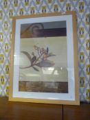 Beech Framed Print