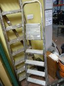 Five Tread Aluminum Steps