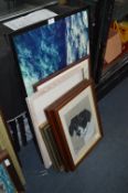 Selection of Framed Prints and Paintings