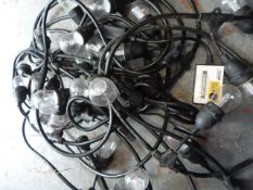 *Feit Led String Lights