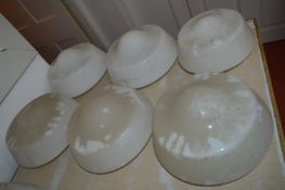 *Six Medium Opuline Lamp Globes