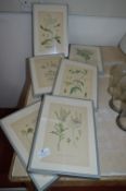 *Four Framed Prints Depicting Natural Flowers