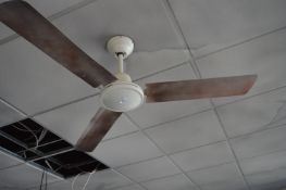 *Ceiling Fan