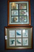 Two Framed Cigarette Card Sets - Owls and Labrador