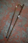 Two Walking Sticks