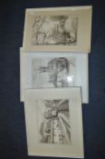 Three Framed Ink Drawings by D.Harwood - Roche Abb