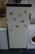 Zanussi Tall Freezer