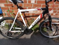 Apollo Evade Bicycle