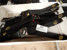 Box Containing Ten Hollywood SS Auto Calendar Digi