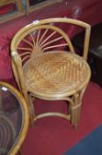 Cane Tub Armchair with Wicker Seat