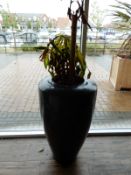 *Yucca in Large Marble Style Pot