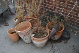 Eight Terracotta Planters and a Metal Bird Garden