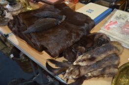 Selection of Fur Stoles, Shoulder Wraps, etc.