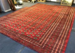 Large Fitted Carpet Elephant Foot Bacara Pattern 194