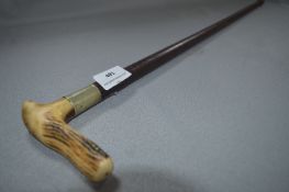 Horn Handled Walking Cane