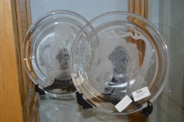 Pair of Decorative Glass Plates - Michael Yates Fi