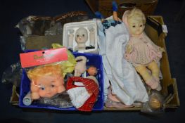 Collection of Dolls with Accessories