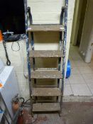 Set of Metal Framed Five Tread Wooden Steps