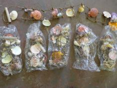 *Six Sets of Hanging Seashells
