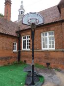 *Pair of Lifetime Basketball Hoops