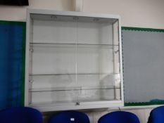 *Wall Mounted Illuminated Display Cabinet