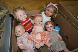 Collection of Four Hard and One Soft Plastic Dolls
