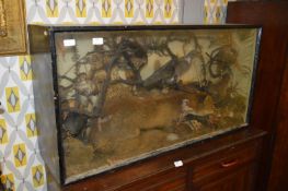 Glass Cased Taxidermy - Fox with Various British Wild Birds