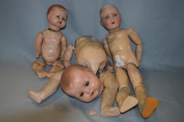 Three Potheaded Composition Bodied Dolls